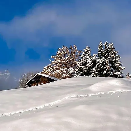 Haus Rhodania